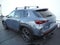 2024 Mazda Mazda CX-50 2.5 S Premium Plus